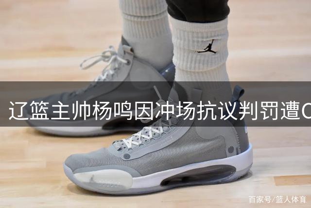 辽篮主帅杨鸣因冲场抗议判罚遭CBA重罚 禁赛3场+罚款3万